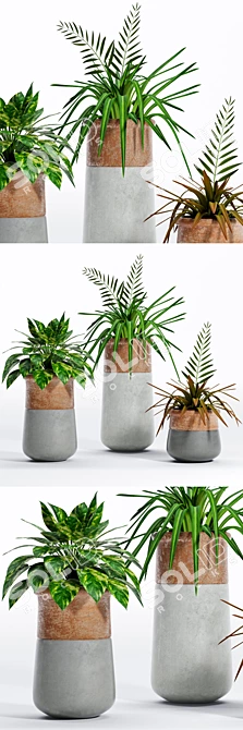 Variety of Decorative Plants 3D model image 1