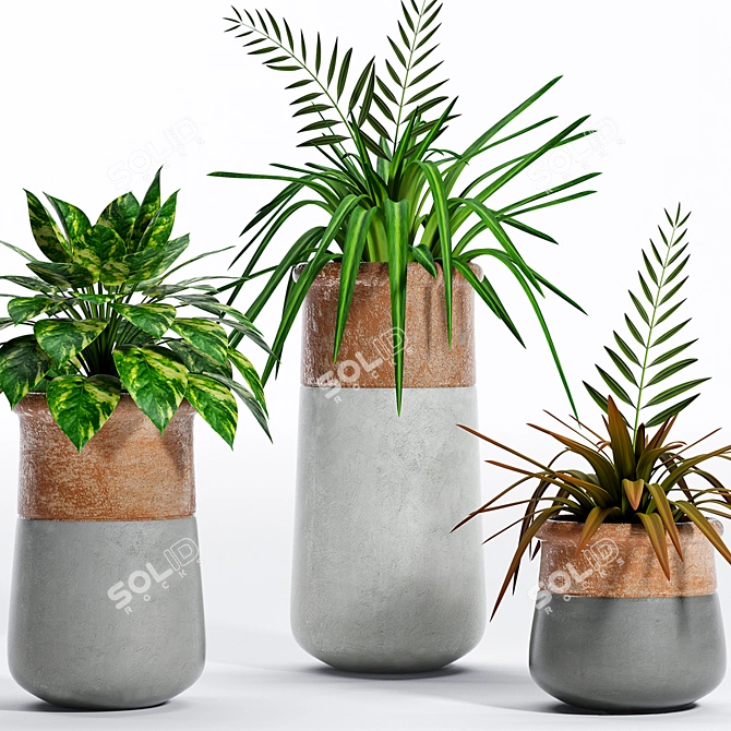 Variety of Decorative Plants 3D model image 2