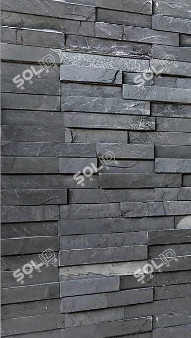 Wild Black Stone Slab 3D model image 2