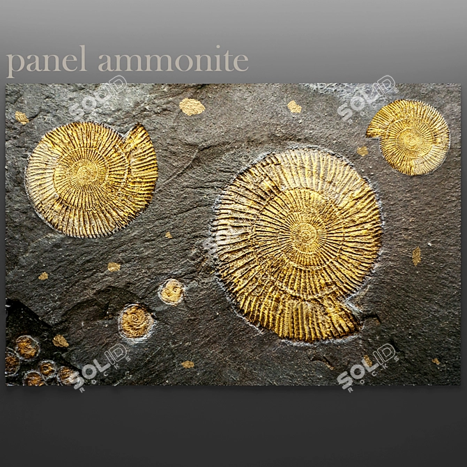 Ammonite Stone Panel 3D model image 1