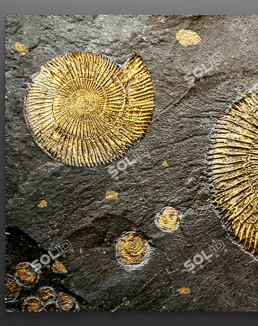 Ammonite Stone Panel 3D model image 2