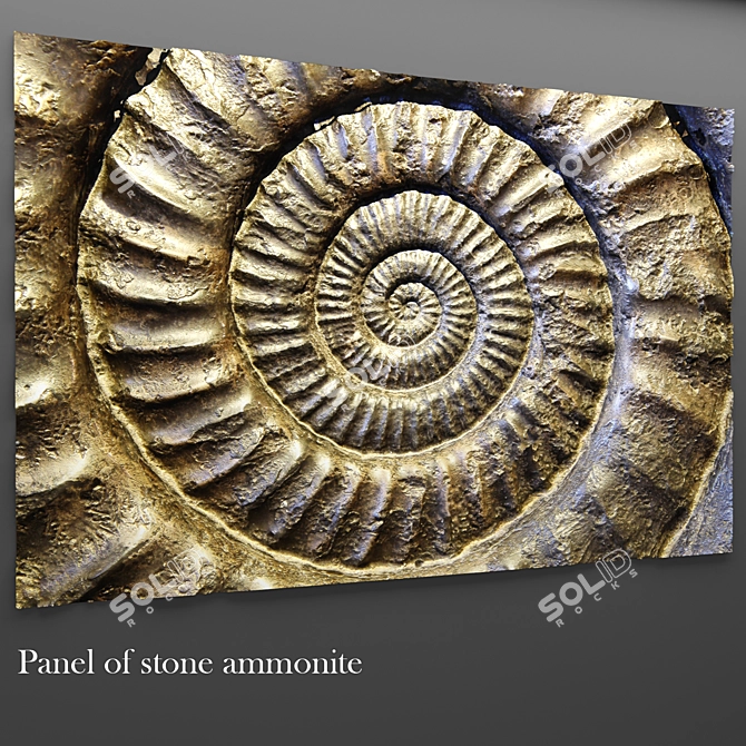 Ammonite Stone Panel 3D model image 1