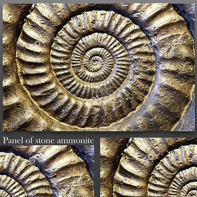 Ammonite Stone Panel 3D model image 2