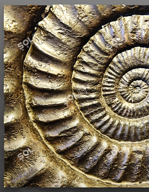 Ammonite Stone Panel 3D model image 3