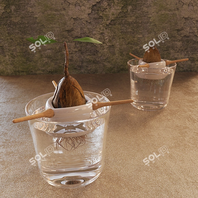 Sprouted Walnut Décor 3D model image 1