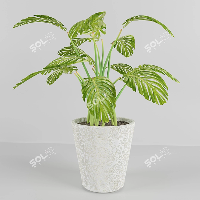 Tropical Dream: Monstera Plant 3D model image 1