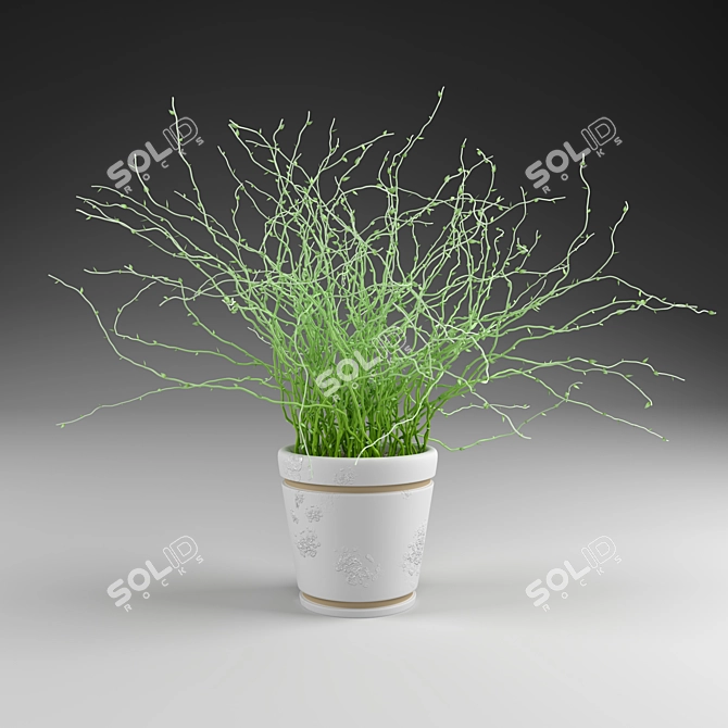 Elegant Greenery: Decorative Plant 3D model image 1