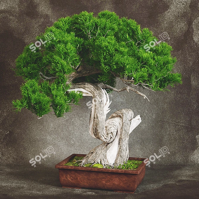 Handcrafted Bonsai Tree Sculpture 3D model image 1