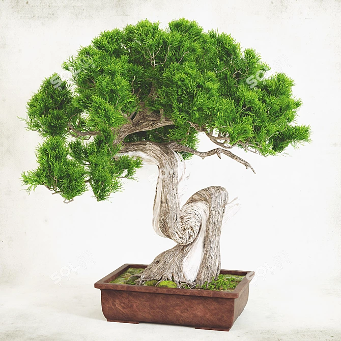 Handcrafted Bonsai Tree Sculpture 3D model image 2