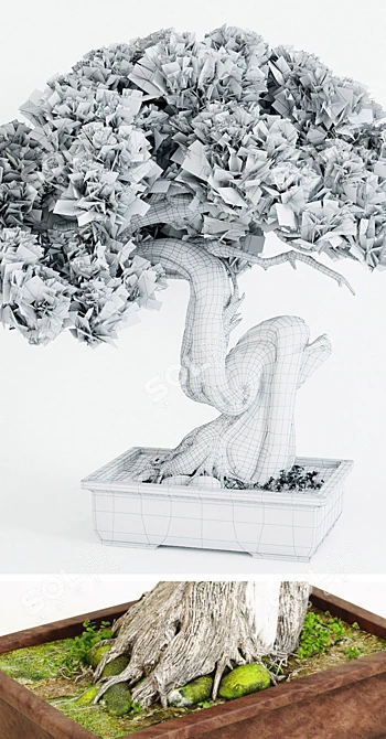 Handcrafted Bonsai Tree Sculpture 3D model image 3