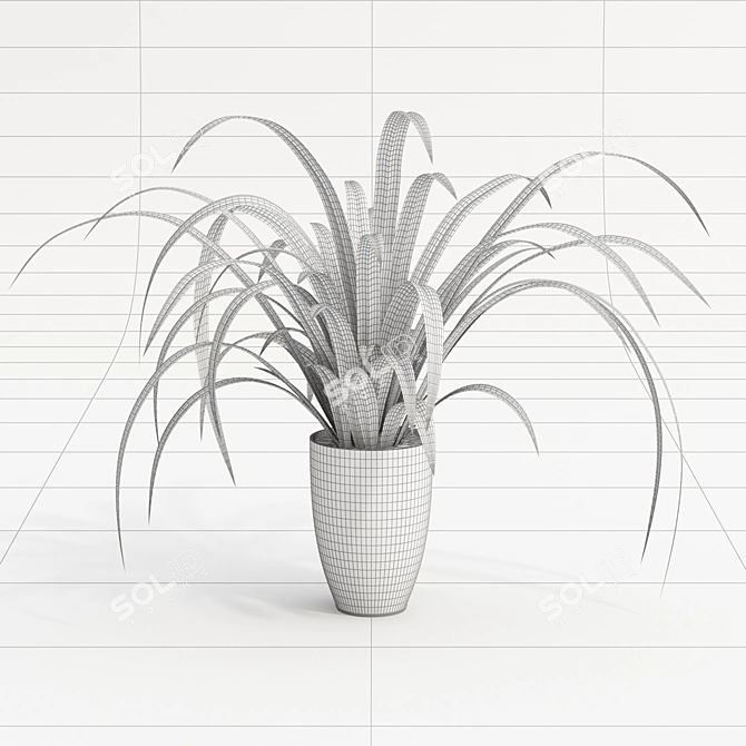 Indoor Spider Plant 3D model image 2