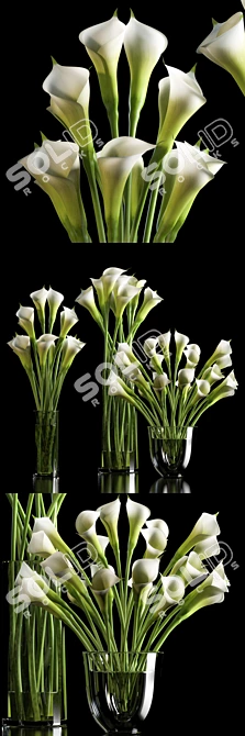 Elegant Calla Lilies 3D model image 1