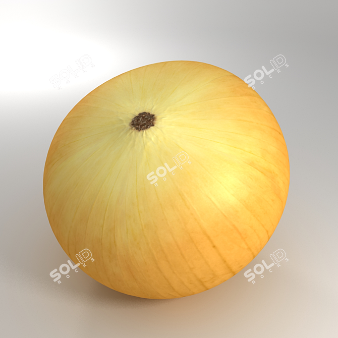 Low-Poly Onion Model 3D model image 2