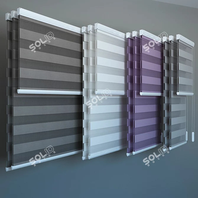 Day and Night Blinds: 4 Sizes Available 3D model image 2