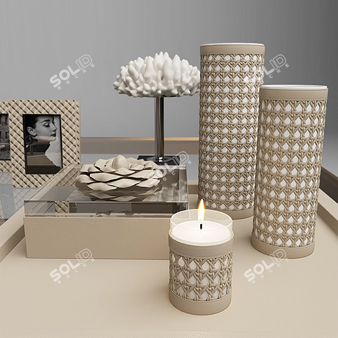 Riviere Set: Lamp, Frames, Coral, Trays, Boxes, Vases, Candle Holder, Eichholtz Coffee Table 3D model image 3