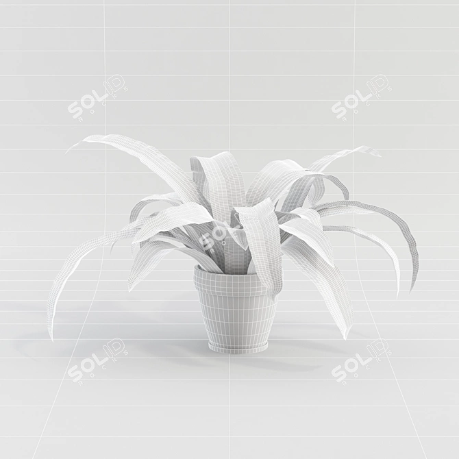 Indoor Plant - №6 3D model image 2