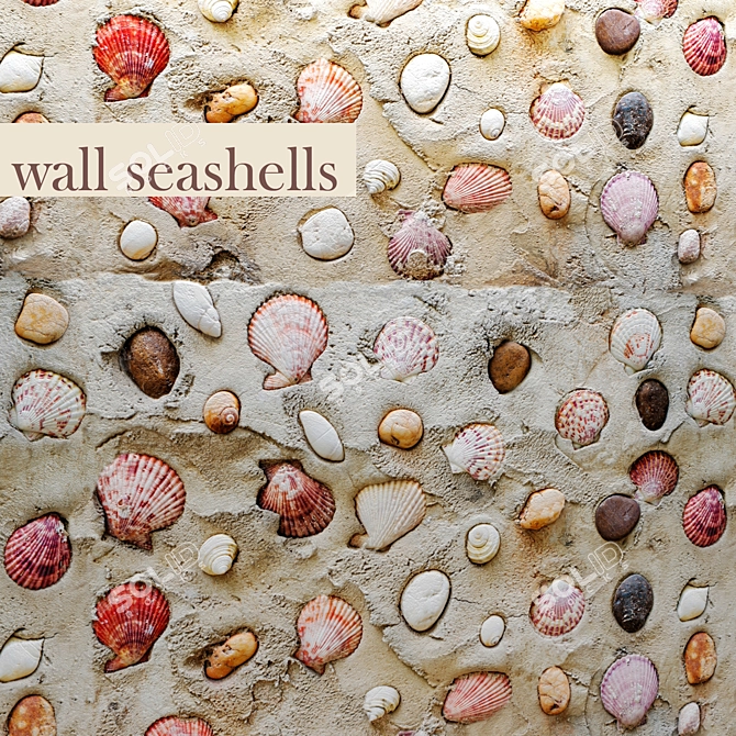 Seashell Paradise: Coastal Wall Décor 3D model image 1