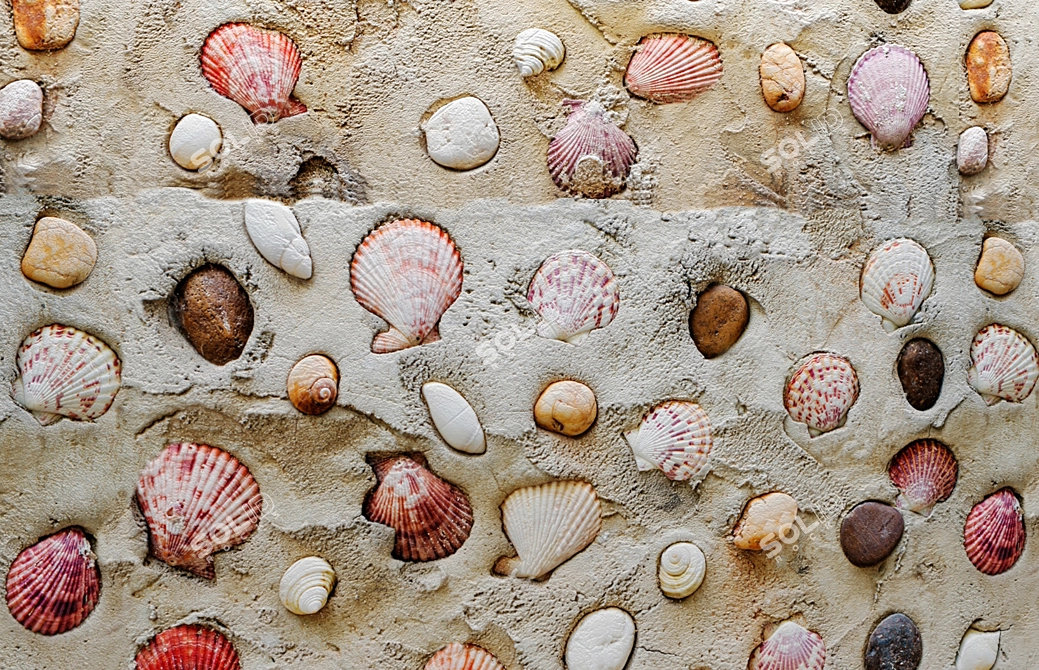 Seashell Paradise: Coastal Wall Décor 3D model image 3