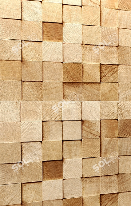 Wooden Panel 3D model image 2
