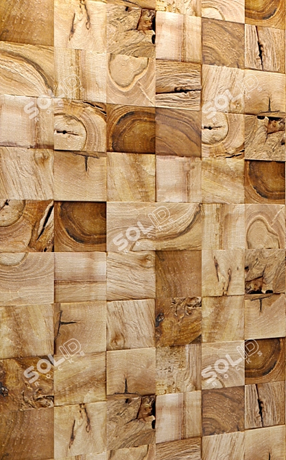 Wooden Panel 3D model image 2