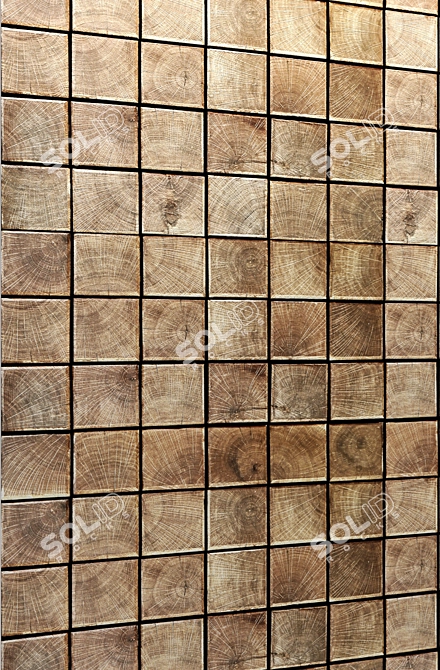 Wooden Wall Panel 3D model image 2