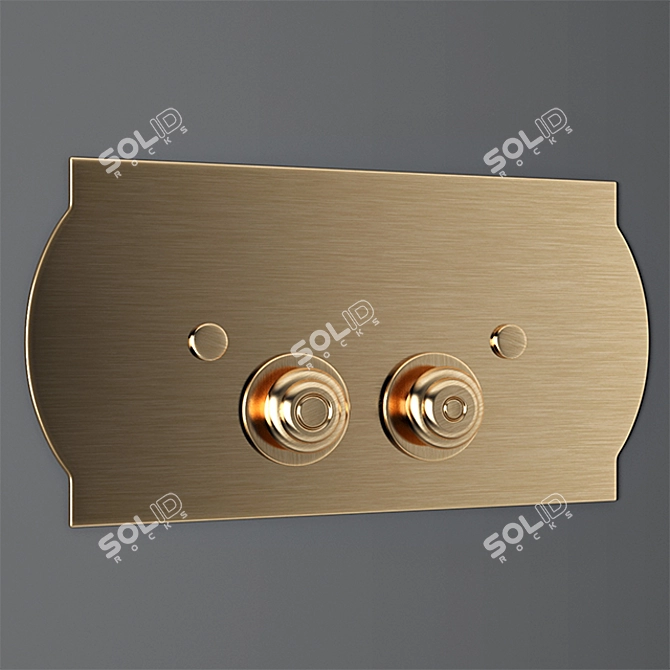 Elegant Flusher Button 3D model image 1