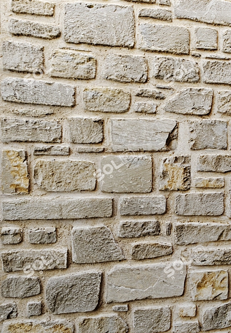 Wild Stone Wall: Authentic Masonry 3D model image 2