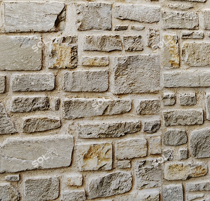 Wild Stone Wall: Authentic Masonry 3D model image 3