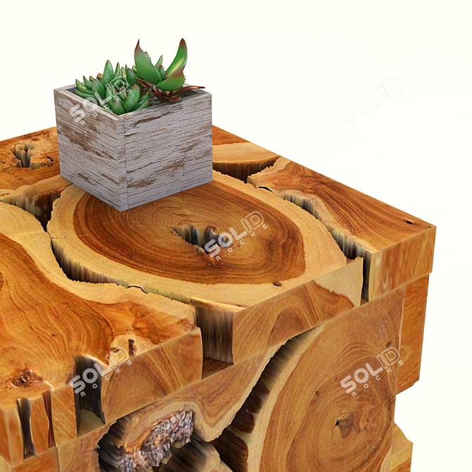 Rustic Teak Root Wood Pedestal 3D model image 2