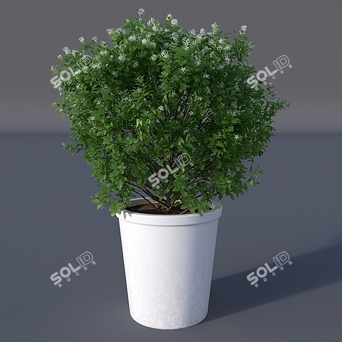 White Butterfly Potted Plant 3D model image 1