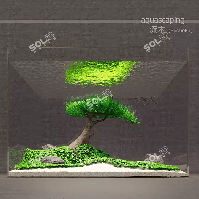 Natural Aquascape Ryoboku - Miniature Bonsai-inspired Aquarium 3D model image 1