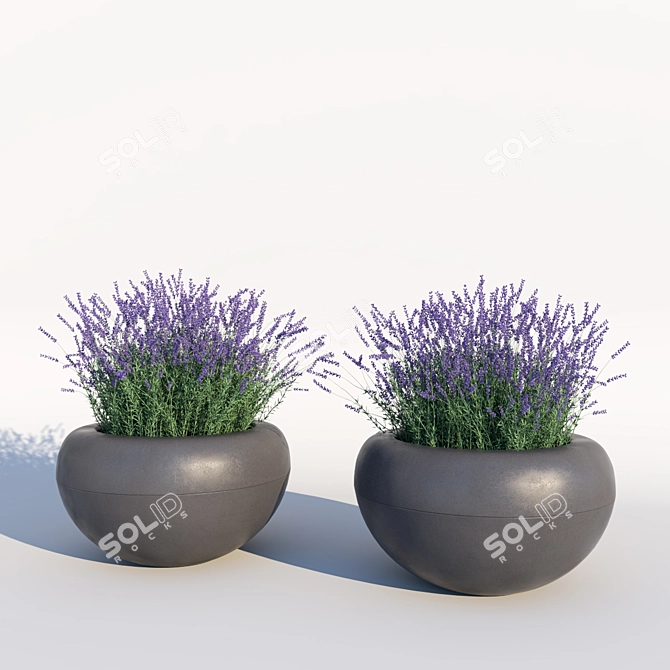 Serenity in a Bottle: Lavender Essential Oil 3D model image 3