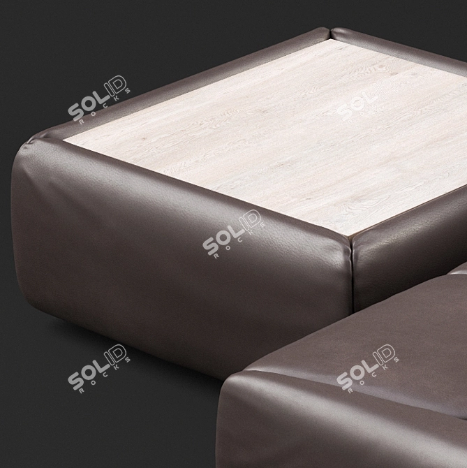 Title: Luxury De Sede 88 Daybed 3D model image 3