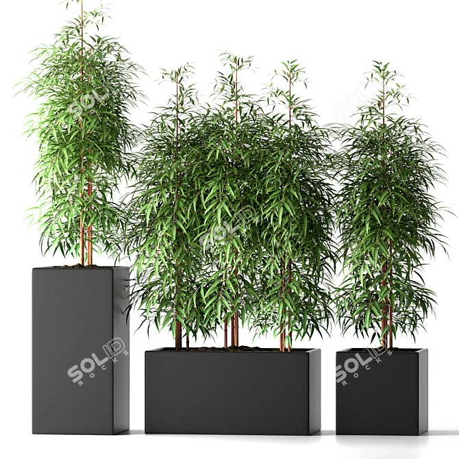 20 Beautiful Bamboo Plants 3D model image 1