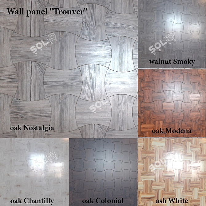 Title: Truver Wall Panel - 6 Stunning Colors! 3D model image 1