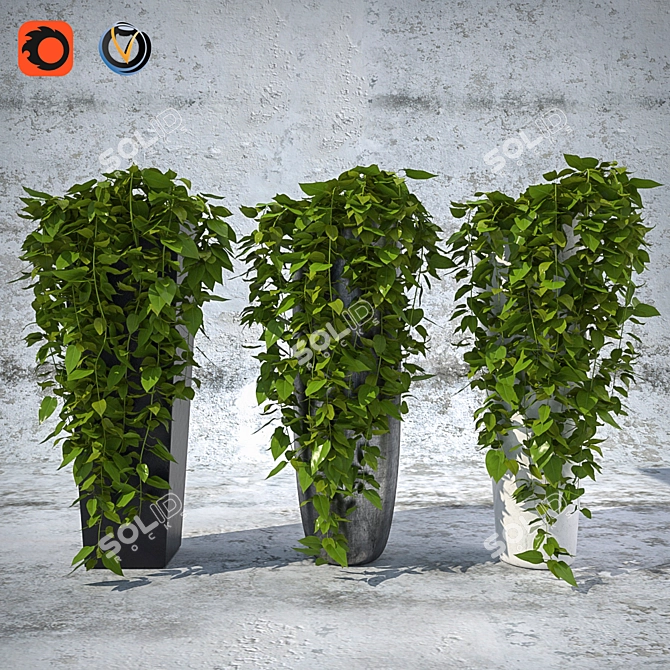 Title: Versatile Plants Bundle 3D model image 1