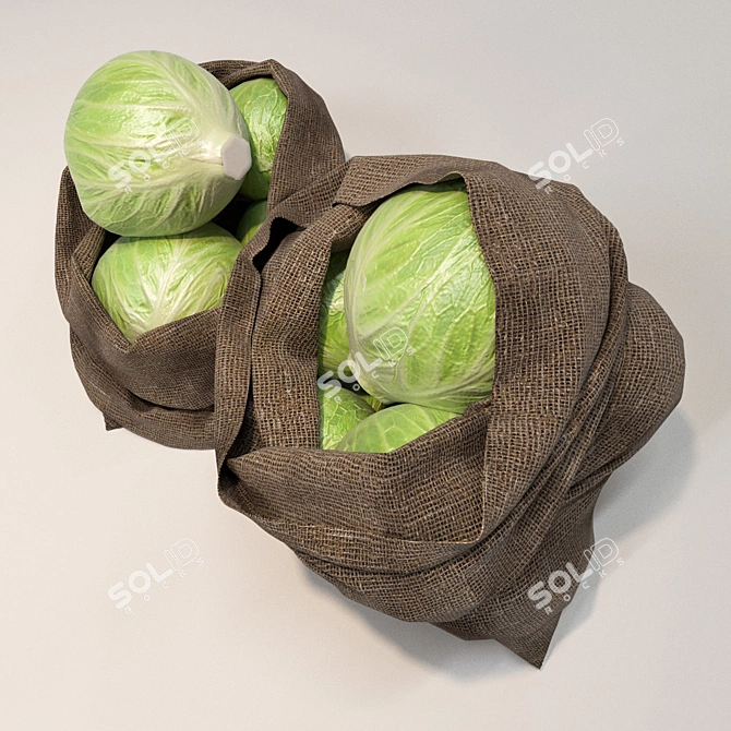 Poly Mesh Cabbage Bags - 2 Pack 3D model image 2