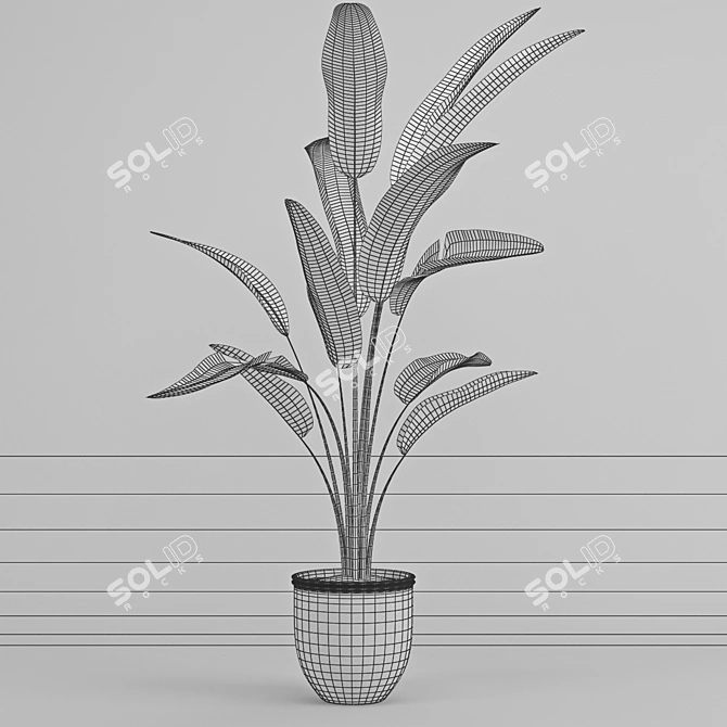 Tropical Paradise: Banana Tree 3D model image 2