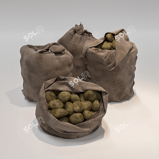 Mixed Variety Potato Sack Set 3D model image 1