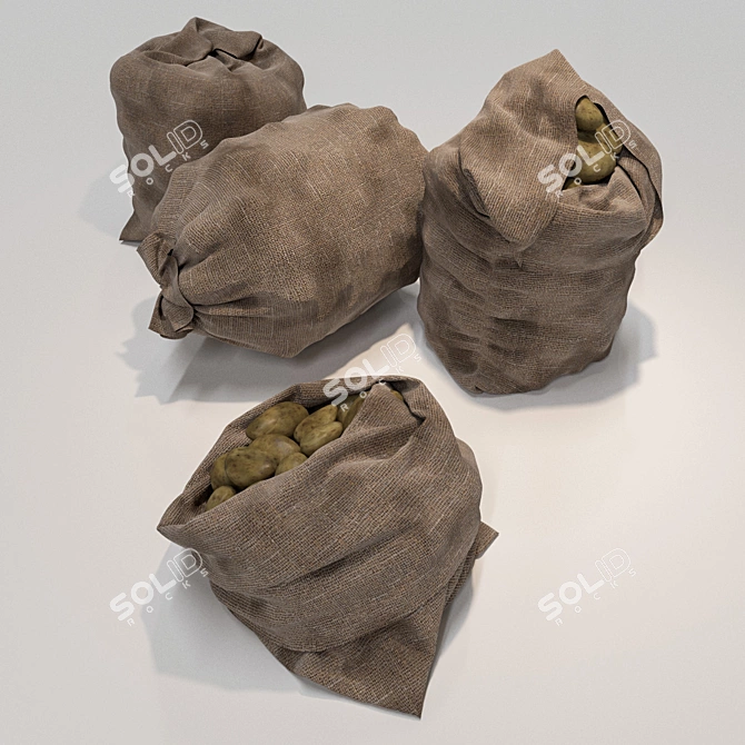 Mixed Variety Potato Sack Set 3D model image 2