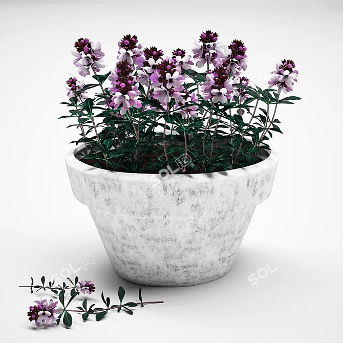 Provence Thyme Pot: Enhance Your Space with Blooming Beauty 3D model image 1