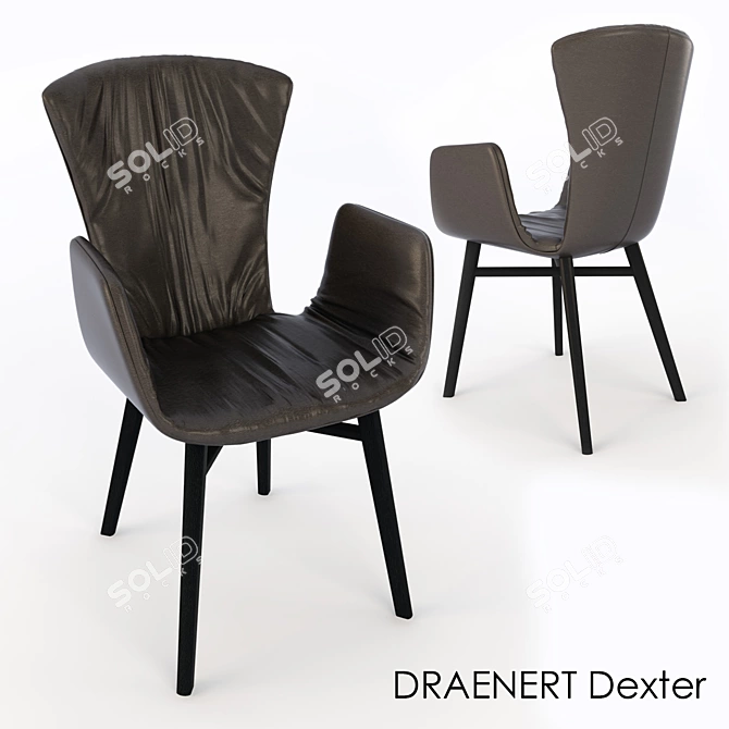  Sleek Dexter Chair by DRAENERT 3D model image 2