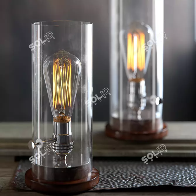 Vintage Edison Ion Lamp 3D model image 1