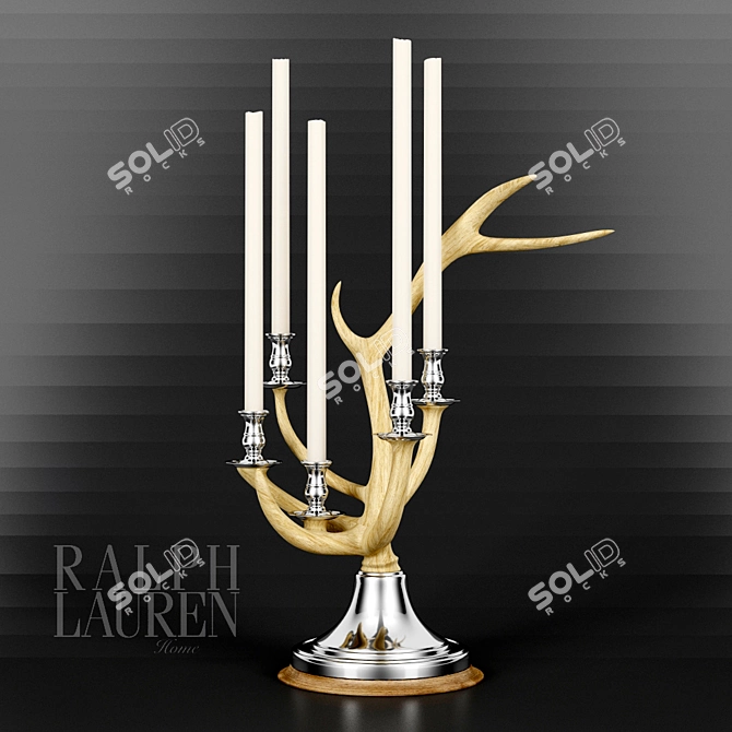 Rustic Elegance: Channing Staghorn & Silver Candelabra 3D model image 1