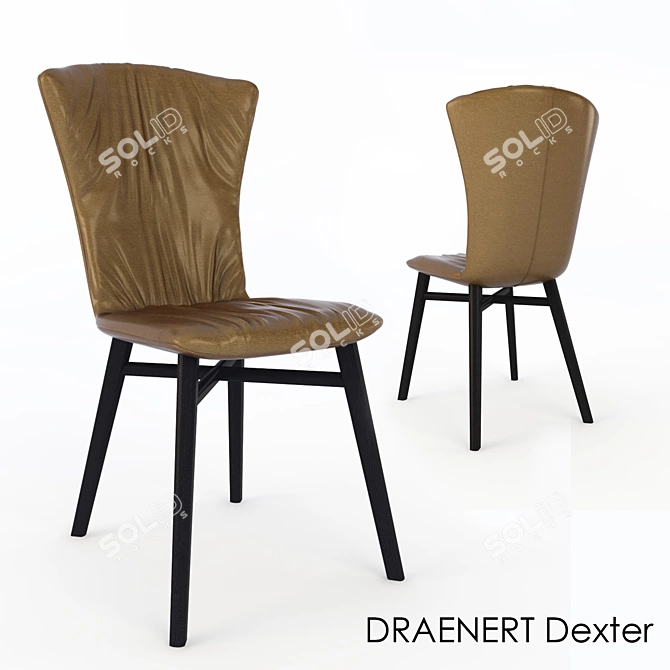 Title: Modern Style Leather Chair - DRAENERT Dexter 3D model image 1
