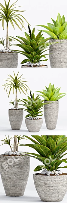 Elegant Decorative Plant 3D model image 1