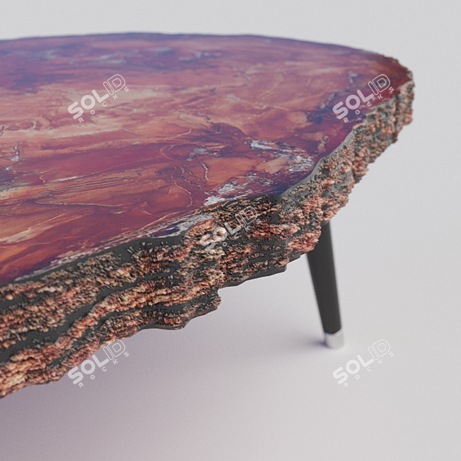 Natural Wood Slab Table 3D model image 2