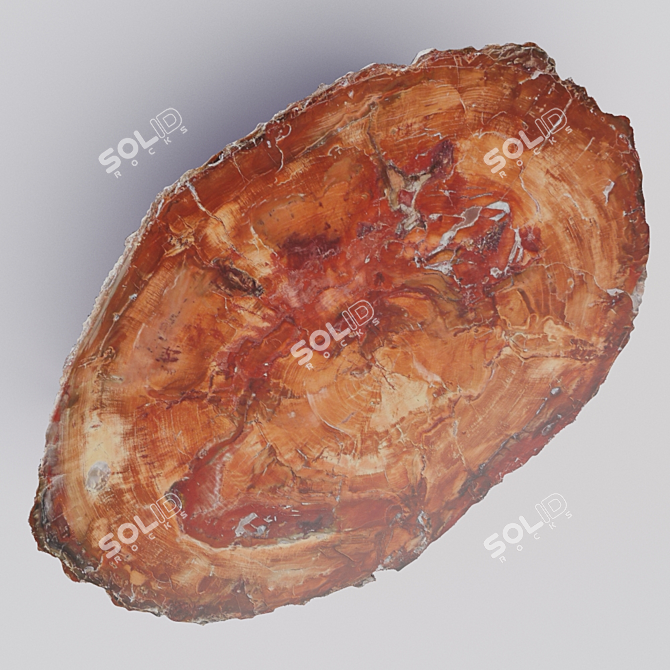 Natural Wood Slab Table 3D model image 3