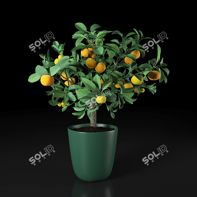 Vibrant Orange Room with Tall Plant 3D model image 1