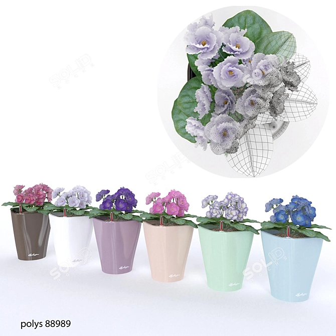 Vibrant Violet Blooms 3D model image 1